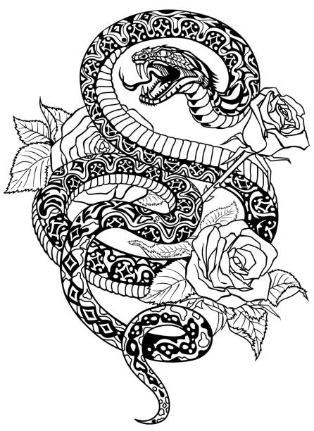istock snake and roses black and white tattoo 1184236260
