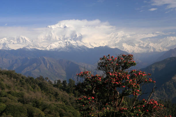 istock Dhaulagiri massif, view from Poon Hill 1184236864