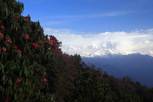 istock Dhaulagiri massif, view from Poon Hill 1184239635