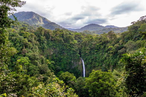istock La Fortuna waterfall in Costa Rica 1184241943