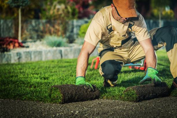 istock Professional Landscaper Job. 1184243552