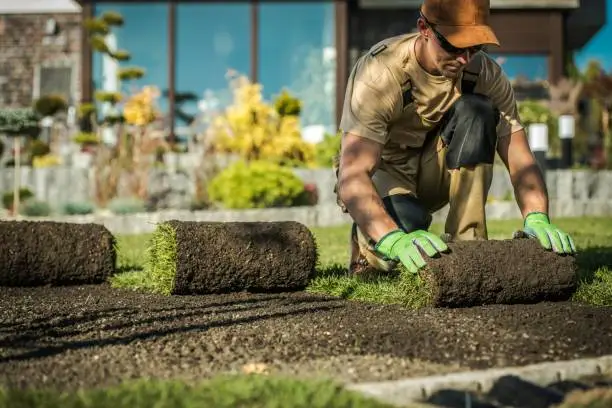 Natural Grass Installation by Professional Caucasian Gardener in His 30s.