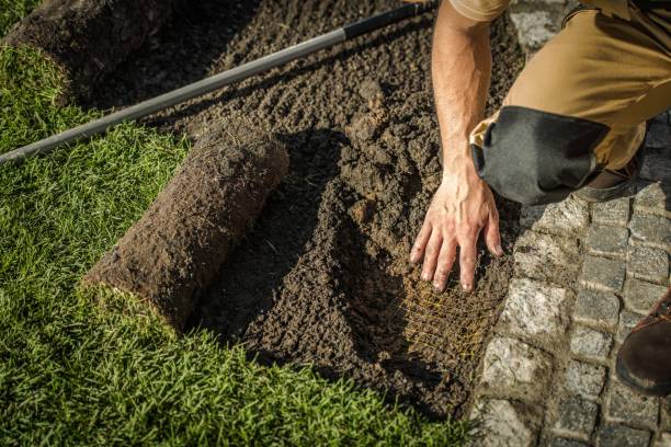 istock Underground Garden Fencing 1184244418