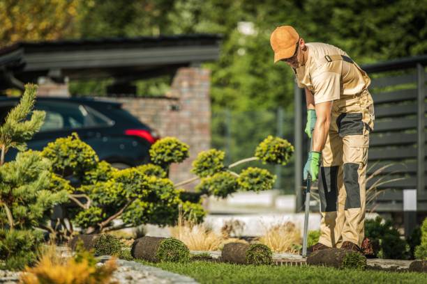 istock Autumn Garden Works 1184245780