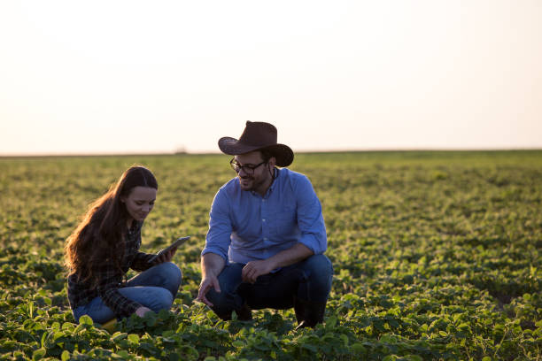 istock Two farmers squatting in field 1184246803
