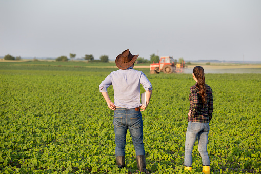 Two farmers man and woman with tablet standing in soybean field in front of tractor