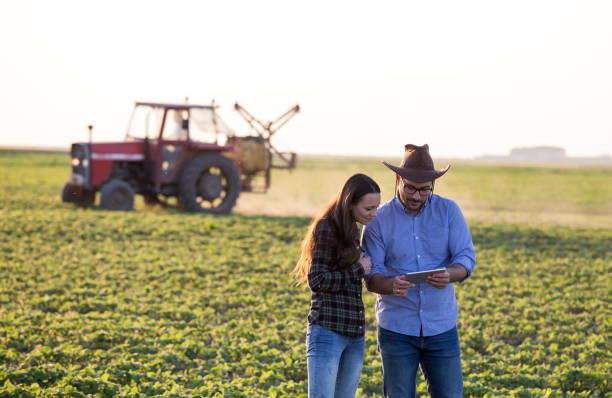 istock Two farmers in field 1184246867