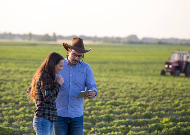 istock Two farmers in field 1184247030