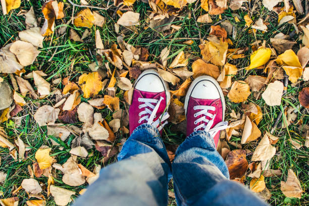istock Autumn. Personal perspective. stock photo 1184249369