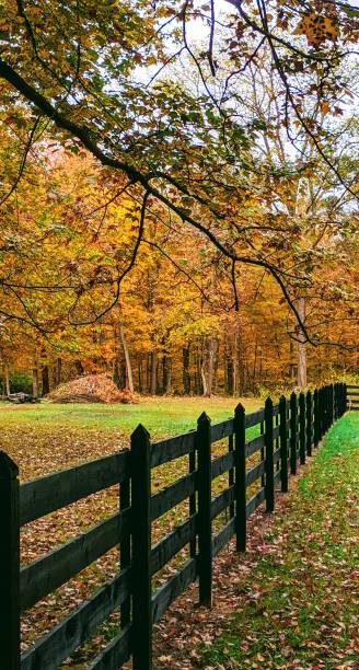 istock Along the Fence Line 1184249416