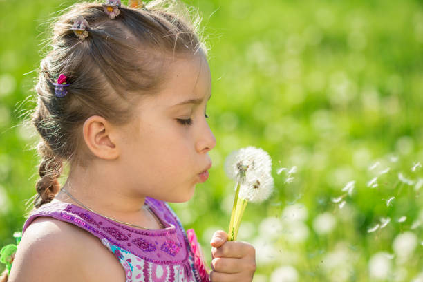 istock Girl blowing dandelions on medow 1184251227