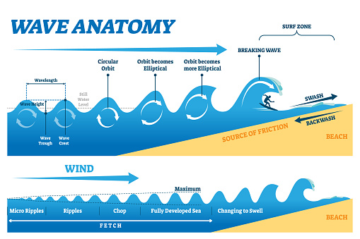 Wave Anatomy Vector Illustration Water Movement Physics Explanation ...