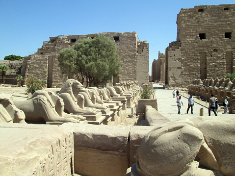 Tourists at the Karnak Luxor Temple Egypt Africa during a visit on September 30, 2019\nThe great sanctuary of Ammon, for more than two millennia, the pharaohs embellished the main center of worship of Egypt, dedicated to Ammon, the great god of the new empire.