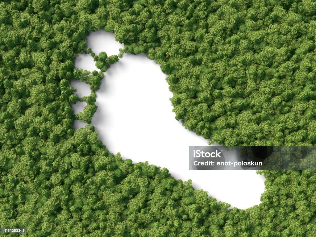footprint in the forest footprint shape in the 3d forest Carbon Footprint Stock Photo