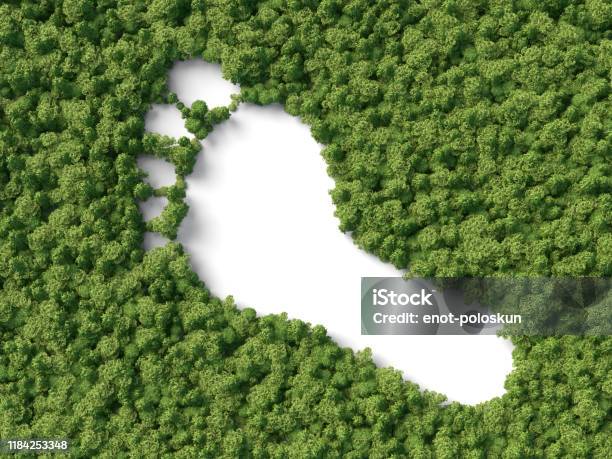 Footprint In The Forest Stock Photo - Download Image Now - Carbon Footprint, Footprint, Environmental Conservation