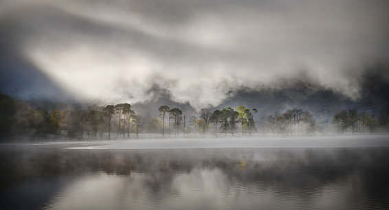 Autumn mists and impressionistic  pine trees at Buttermere Lake in the English Lake District. Cumbria, UK
