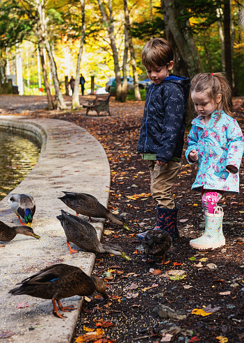 Brother & sister feeding ducks at a public park on an October afternoon.