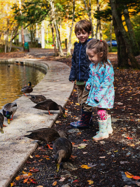 istock Brother & Sister Feeding Ducks 1184255770
