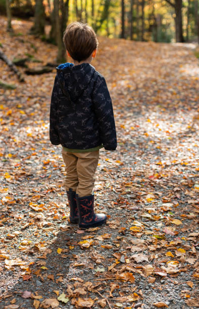 istock Boy Hiking in Park 1184255791