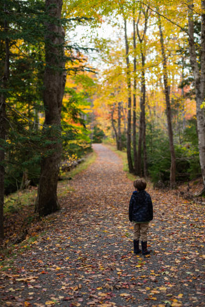 Brother and sister enjoy an October afternoon hike at a public park.