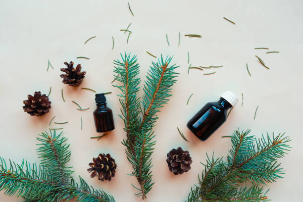 istock Cosmetic bottles, spruce branches and cones on white background, flat lay, top view. Natural cosmetic concept 1184263361
