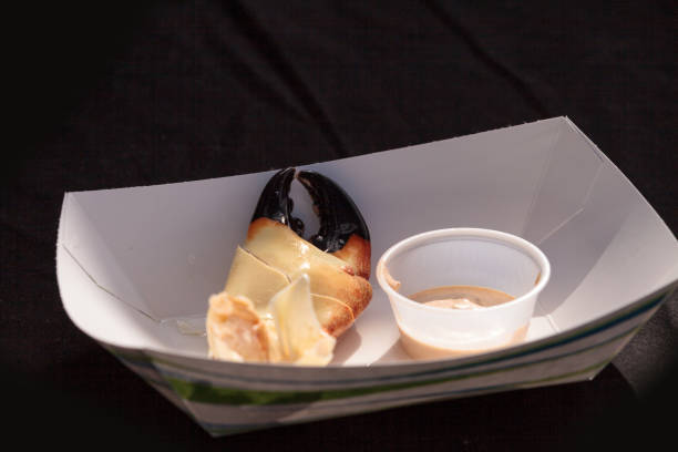 Florida Stone crab Menippe mercenaria