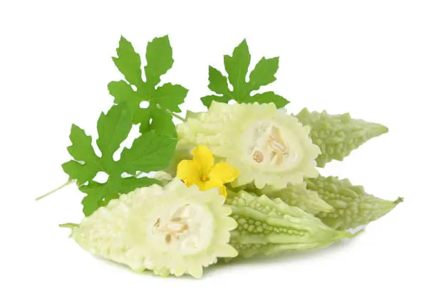 Bittermelon with flower and leaves on white