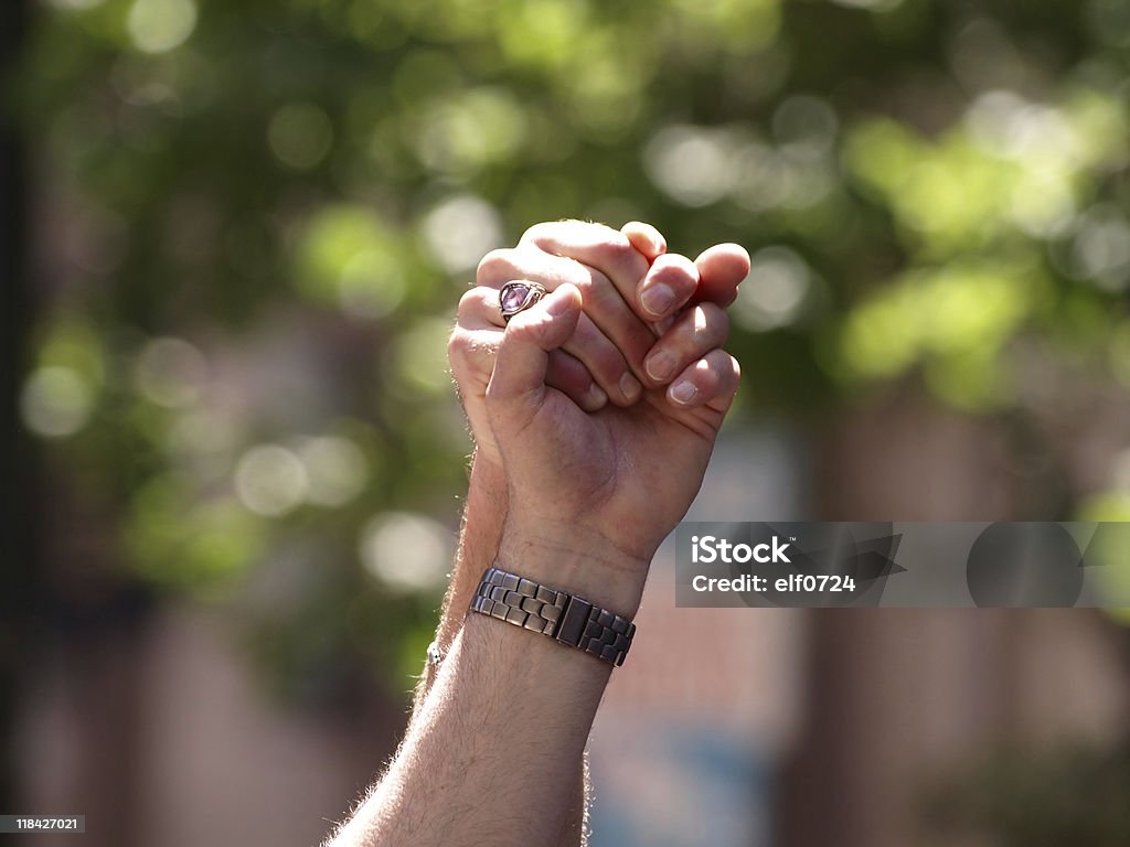 El matrimonio entre homosexuales anillo de dos - Foto de stock de Acuerdo libre de derechos