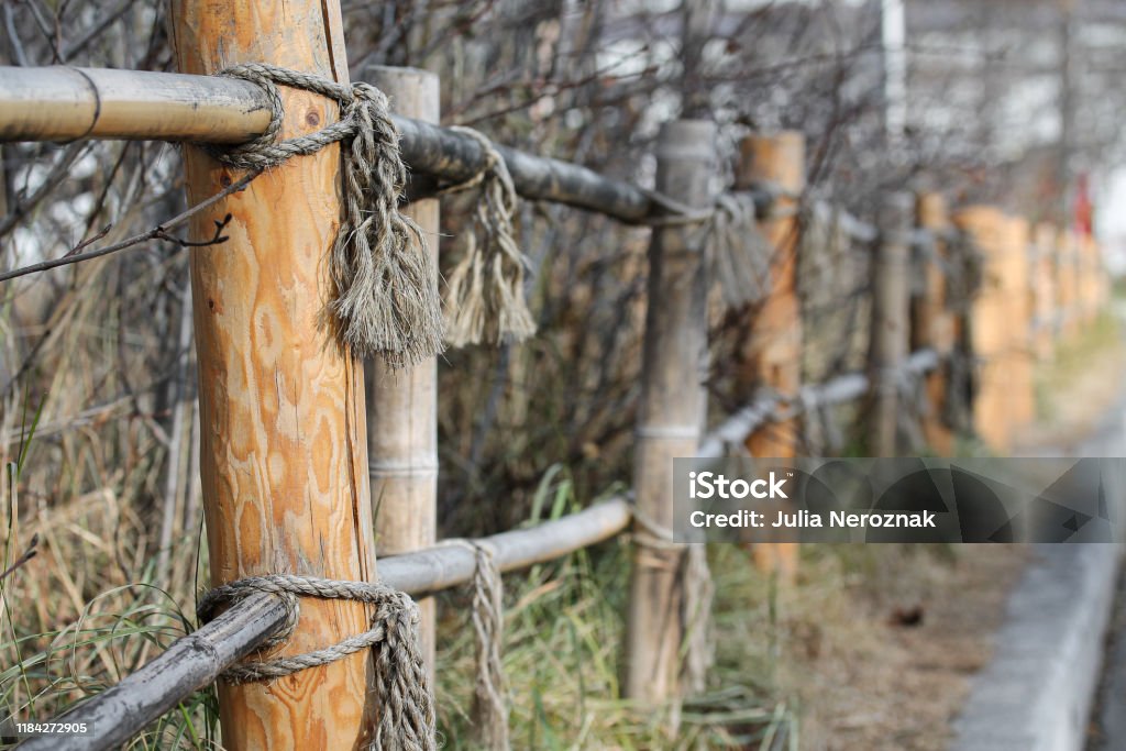 Bamboo Fence With Ropes In Japanese Style Stock Photo - Download