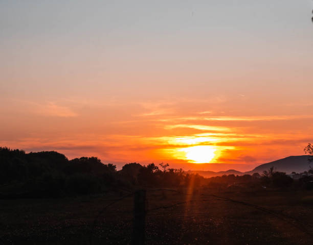 istock Experiencing the sunset magics at summer time 1184276007