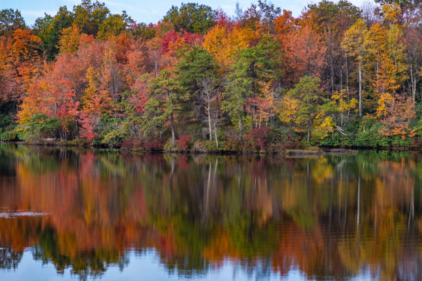 istock morning light with reflection by the lake 1184276017