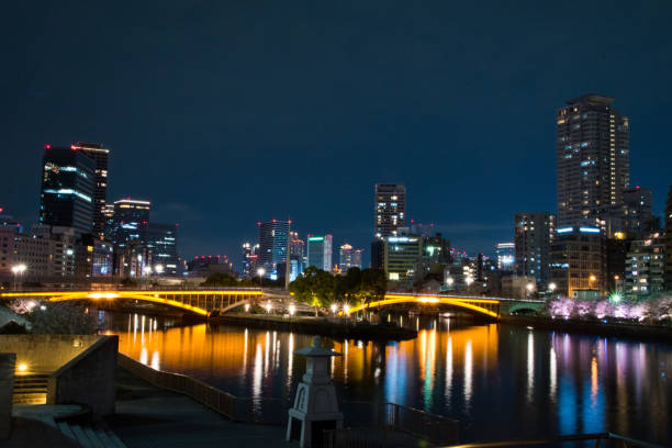 istock Cherry blossom at night in Osaka 1184281698