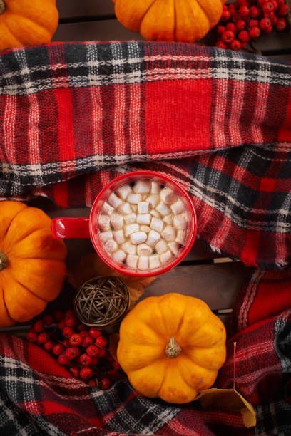 istock Red cup of cocoa with marshmallow, decorative pumpkin. Autumn mood, warming drink. 1184282826