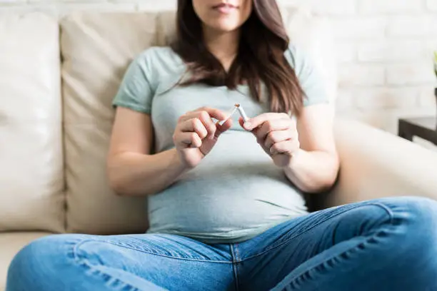 Midsection of mid adult pregnant woman breaking a cigarette while sitting on sofa at home