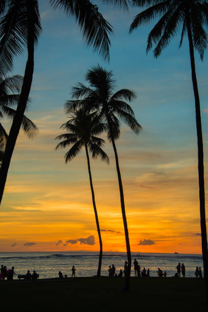 istock Sunset on Waikiki Beach - Vertical 1184283978