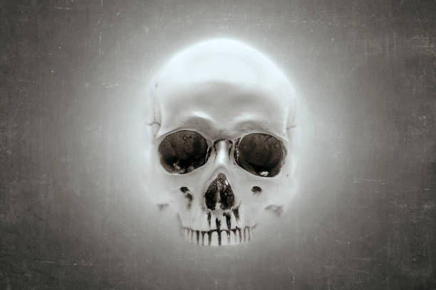 istock Human skull behind of window glass 1184286247