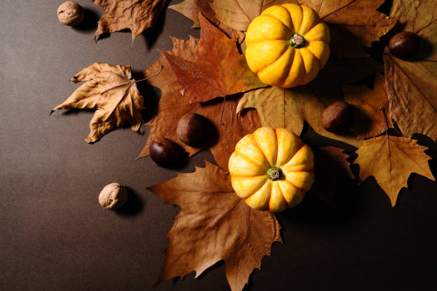 istock Happy Thanksgiving Day with pumpkin and maple leaves 1184292624