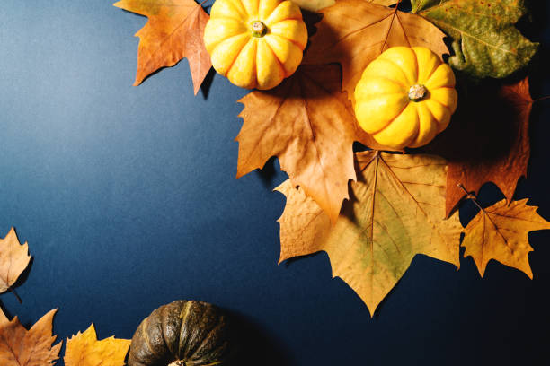 istock Happy Thanksgiving Day with maple leaves and pumpkin on blue background 1184292695