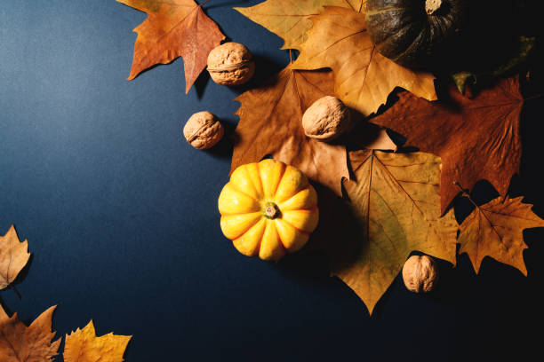 istock Happy Thanksgiving Day with maple leaves, nut and pumpkin on blue background 1184292715