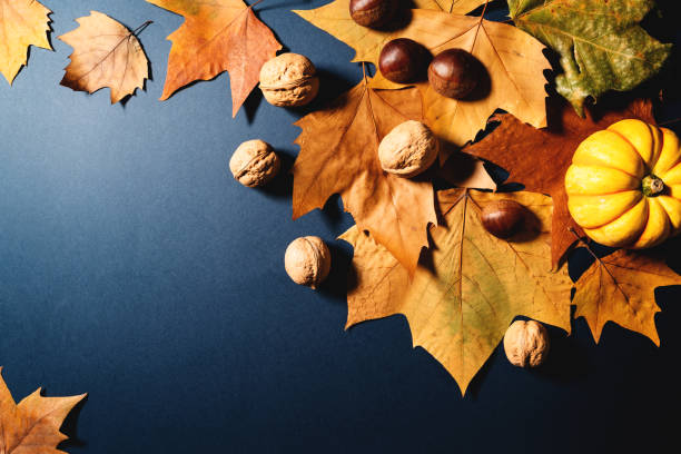 istock Happy Thanksgiving Day with maple leaves, nut and pumpkin on blue background 1184292739