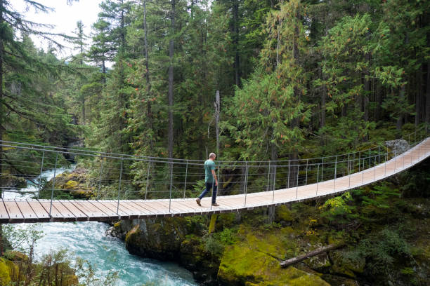 istock Walking across a wooden suspension bridge 1184293788