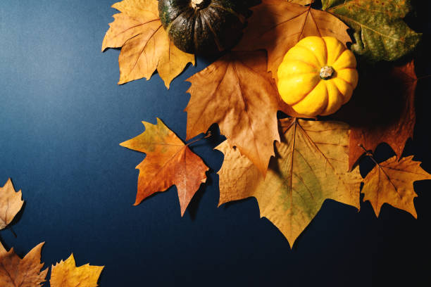 istock Happy Thanksgiving Day with maple leaves and pumpkin on blue background 1184294664