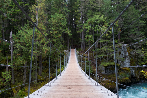 View over a wooden suspension bridge into the forest. The bridge crosses a flowing river