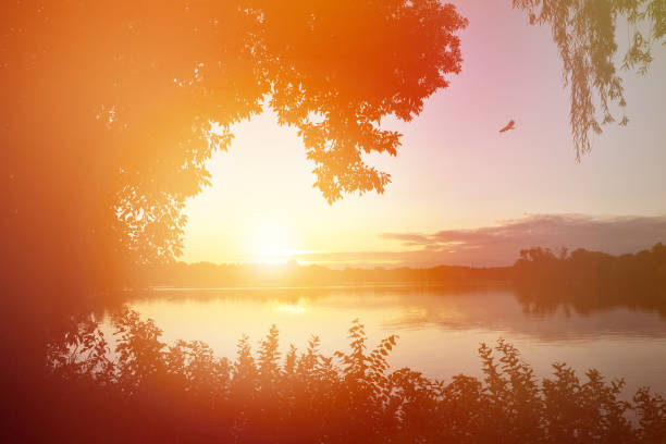 Tranquil lake at sunset with sunbeams