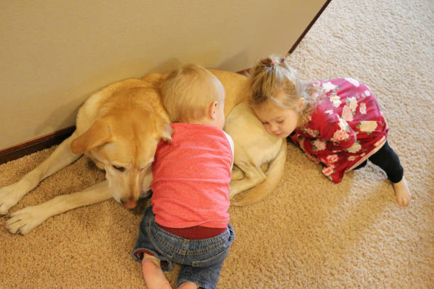 istock Pet Love children with dog 1184298068