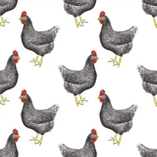 Vector illustration of Chickens Seamless Pattern Vector Illustration in Watercolor and Ink