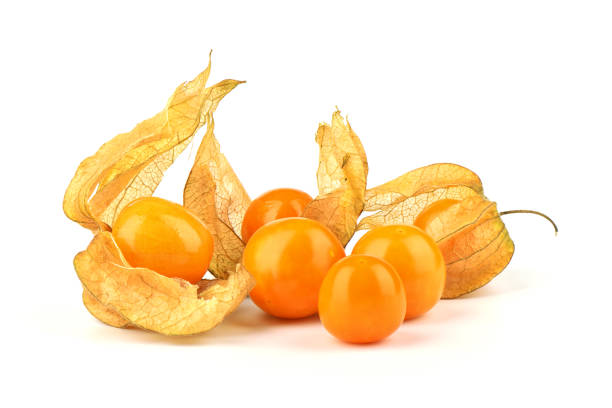 istock Some physalis berries isolated on a white background. 1184313565