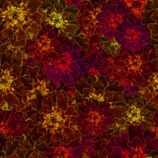 istock Colorful background with Tagetes patula flower. Seamless pattern. 1184315654