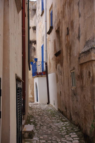 istock Narrow footpath between two old houses in Italy 1184316224