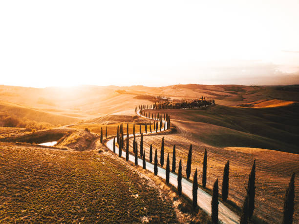 winding road in italy winding road in italy crete senesi photos stock pictures, royalty-free photos & images